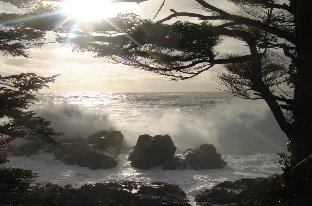 Waters Edge Shoreside Suites Ucluelet Eksteriør bilde