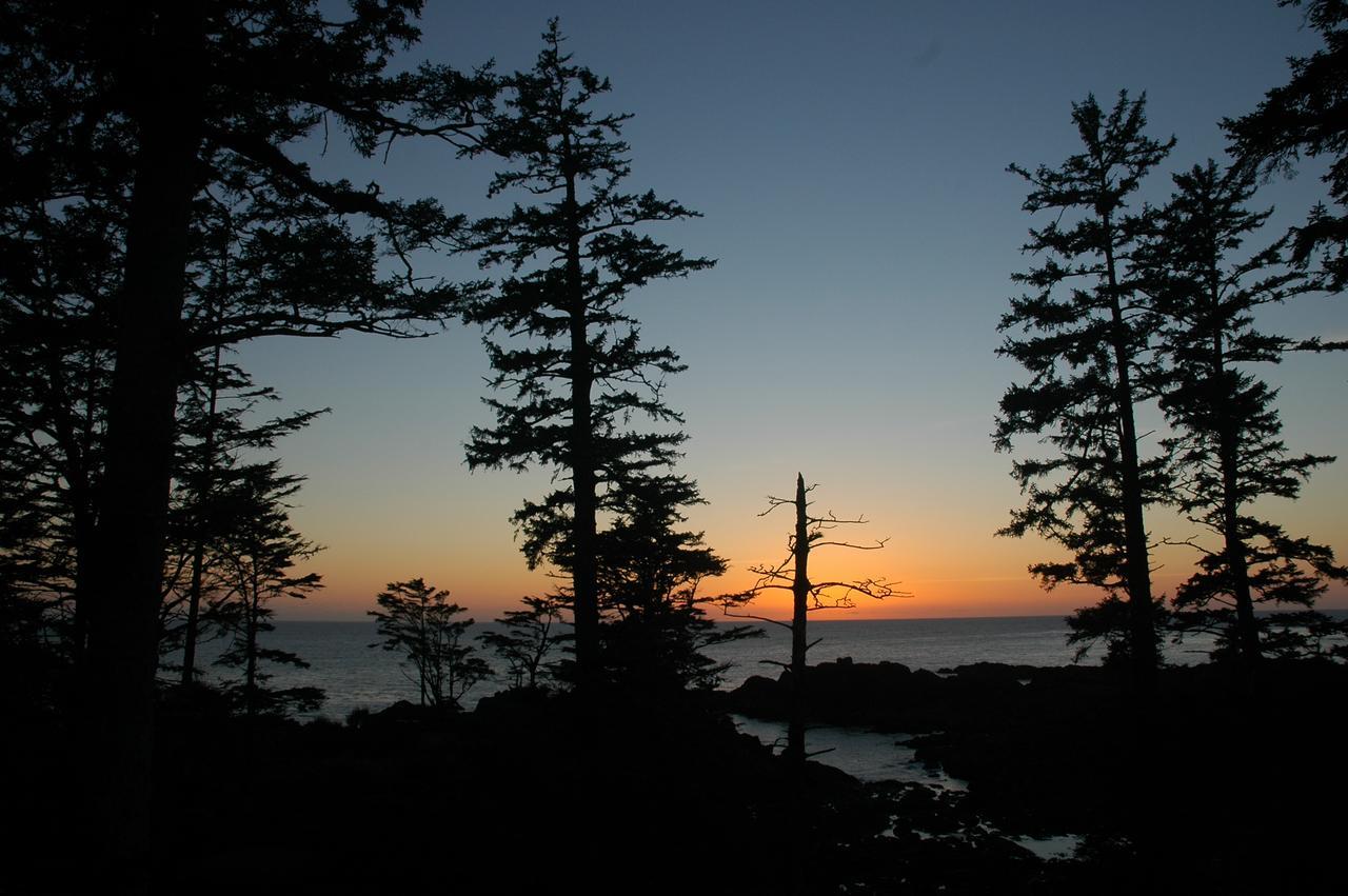 Waters Edge Shoreside Suites Ucluelet Eksteriør bilde