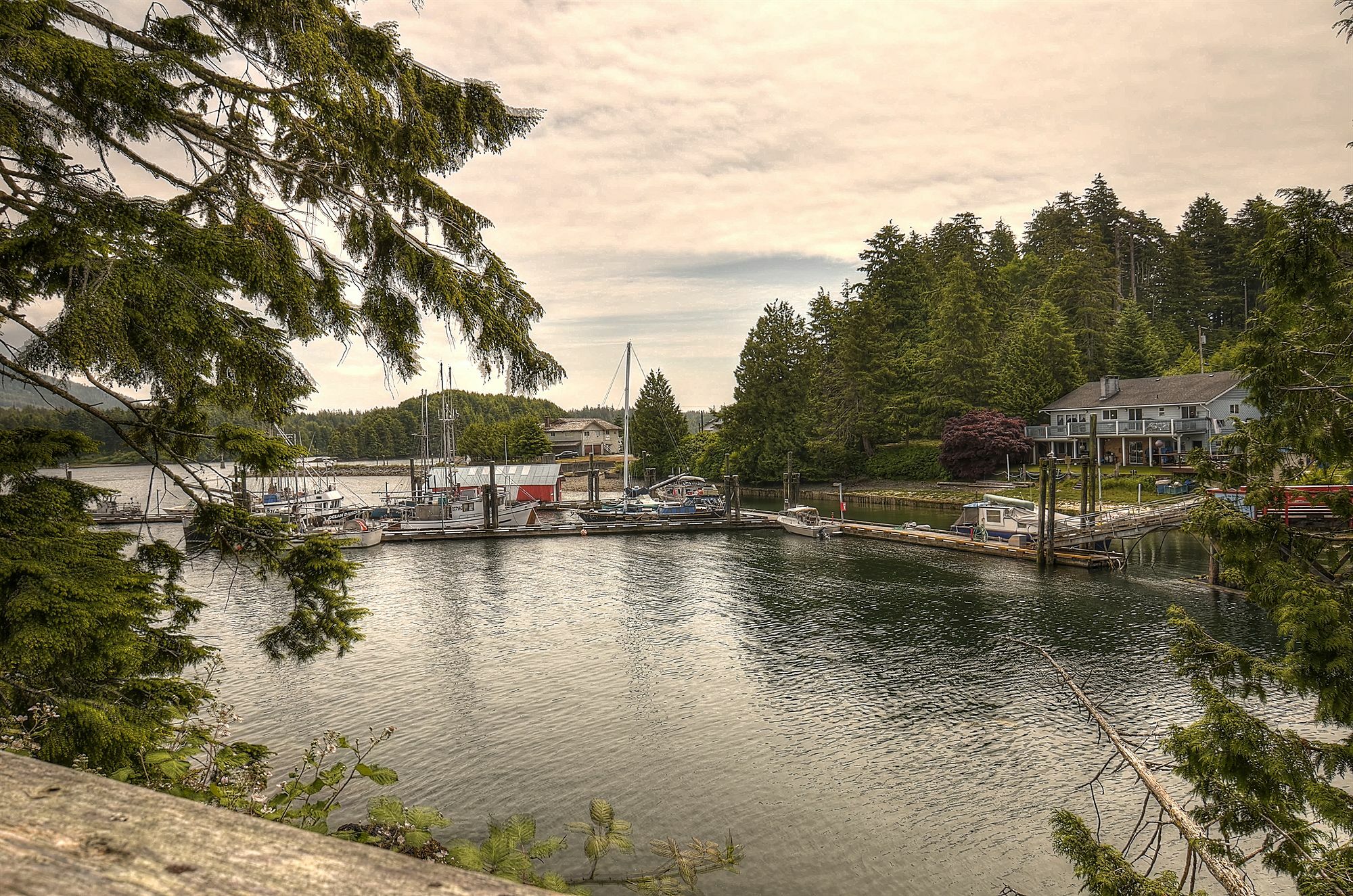 Waters Edge Shoreside Suites Ucluelet Eksteriør bilde